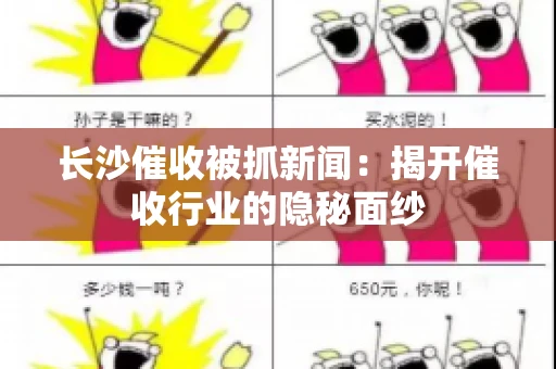长沙催收被抓新闻：揭开催收行业的隐秘面纱