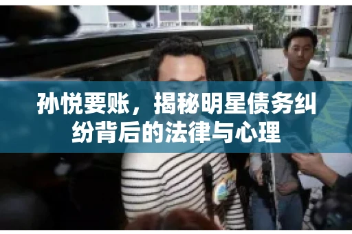 孙悦要账，揭秘明星债务纠纷背后的法律与心理