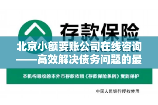 北京小额要账公司在线咨询——高效解决债务问题的最佳途径 北京小额要账公司在线咨询——高效解决债务问题的最佳途径