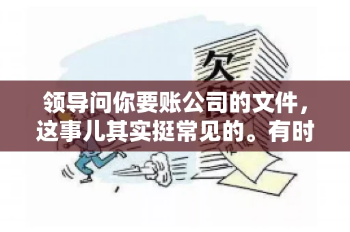 领导问你要账公司的文件，这事儿其实挺常见的。有时候，你可能一头雾水，不知道从何下手。今天，我就来和大家聊聊这个话题，希望能帮到大家。