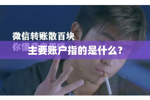 主要账户指的是什么？