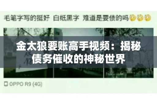 金太狼要账高手视频：揭秘债务催收的神秘世界