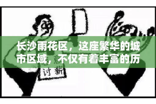 长沙雨花区，这座繁华的城市区域，不仅有着丰富的历史文化，还有着繁忙的金融活动。其中，催收公司作为金融行业的一个重要组成部分，在这里也有着不少的身影。那么，长沙雨花区都有哪些催收公司呢？今天，我们就来聊聊这个话题。